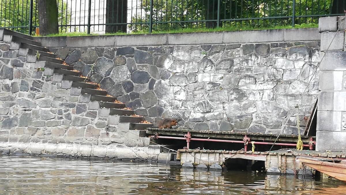 Prague Vltava river Travel Blog