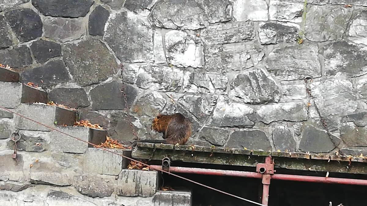 Prague Vltava river Travel Blog