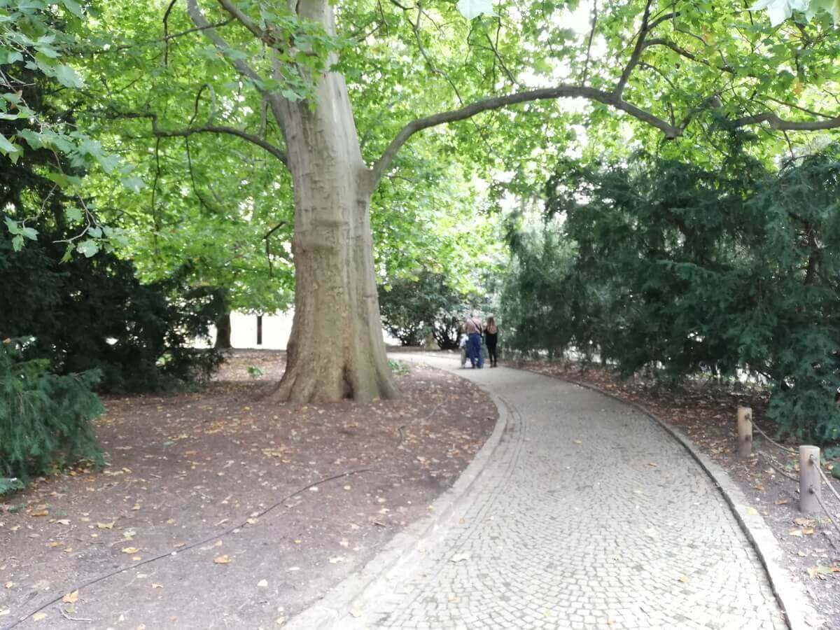 Prag Šetnja Pored Reke Blog za Putovanja