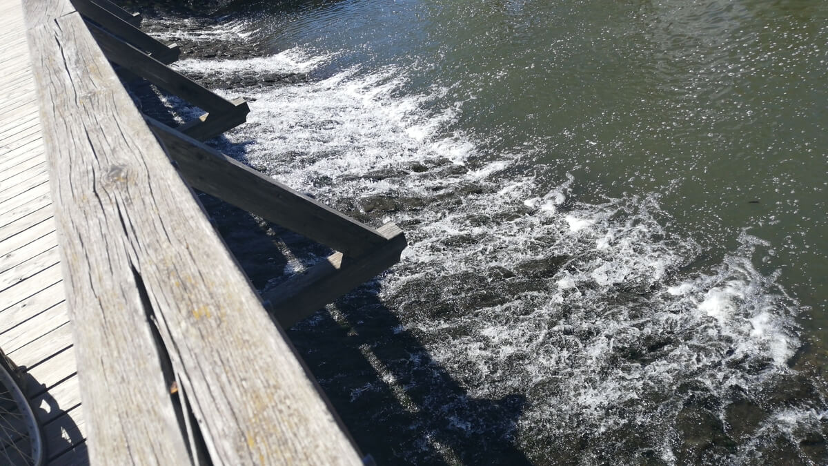 Slovenija Postojna Blog za putovanja