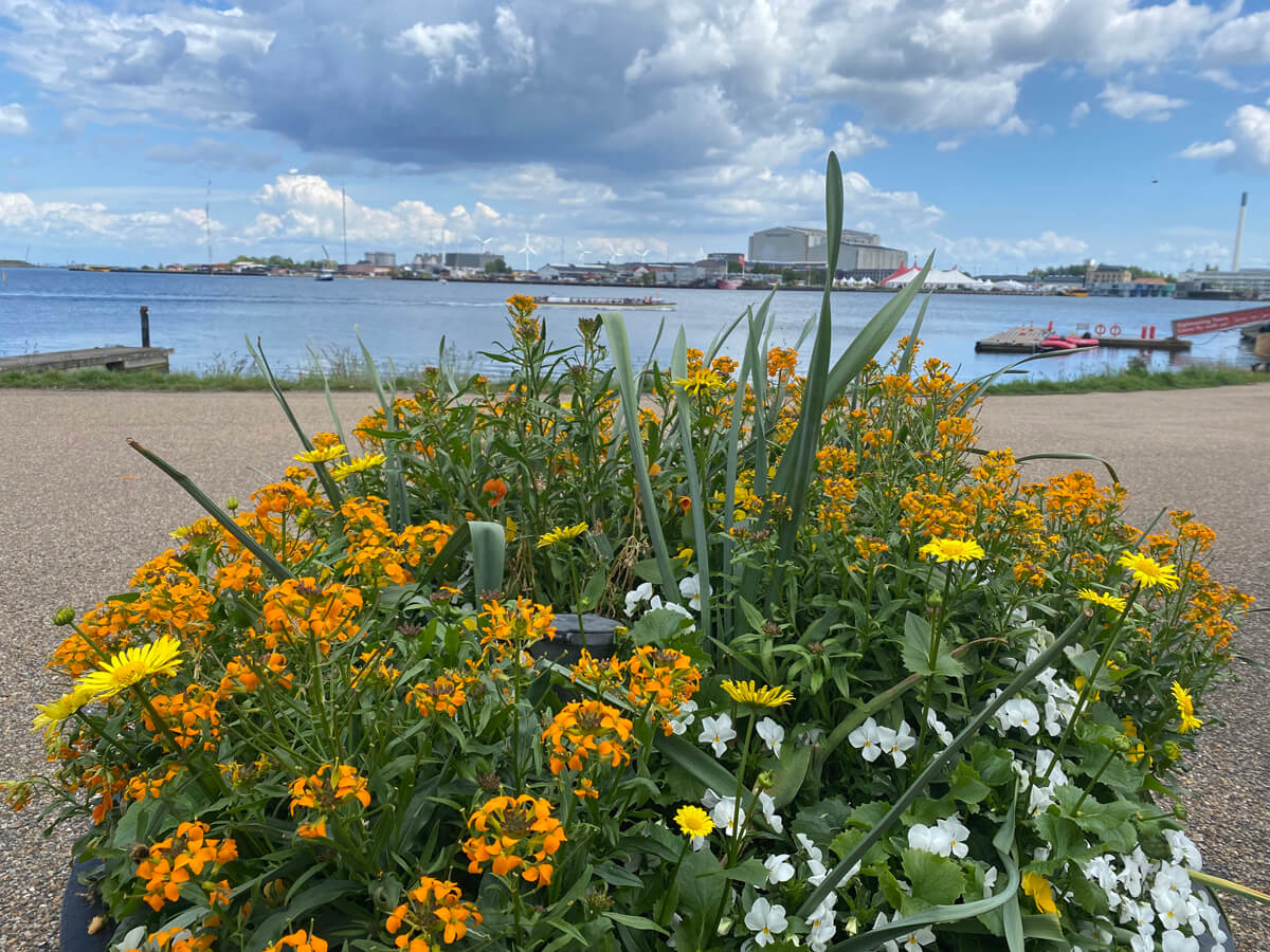 Denmark The Little Mermaid Travel Blog