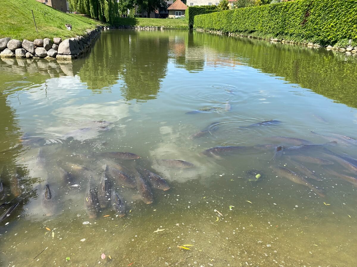 Rozenborg palata Kopenhagen Travel Blog