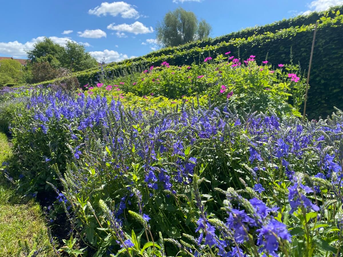 Rozenborg palata Kopenhagen Travel Blog