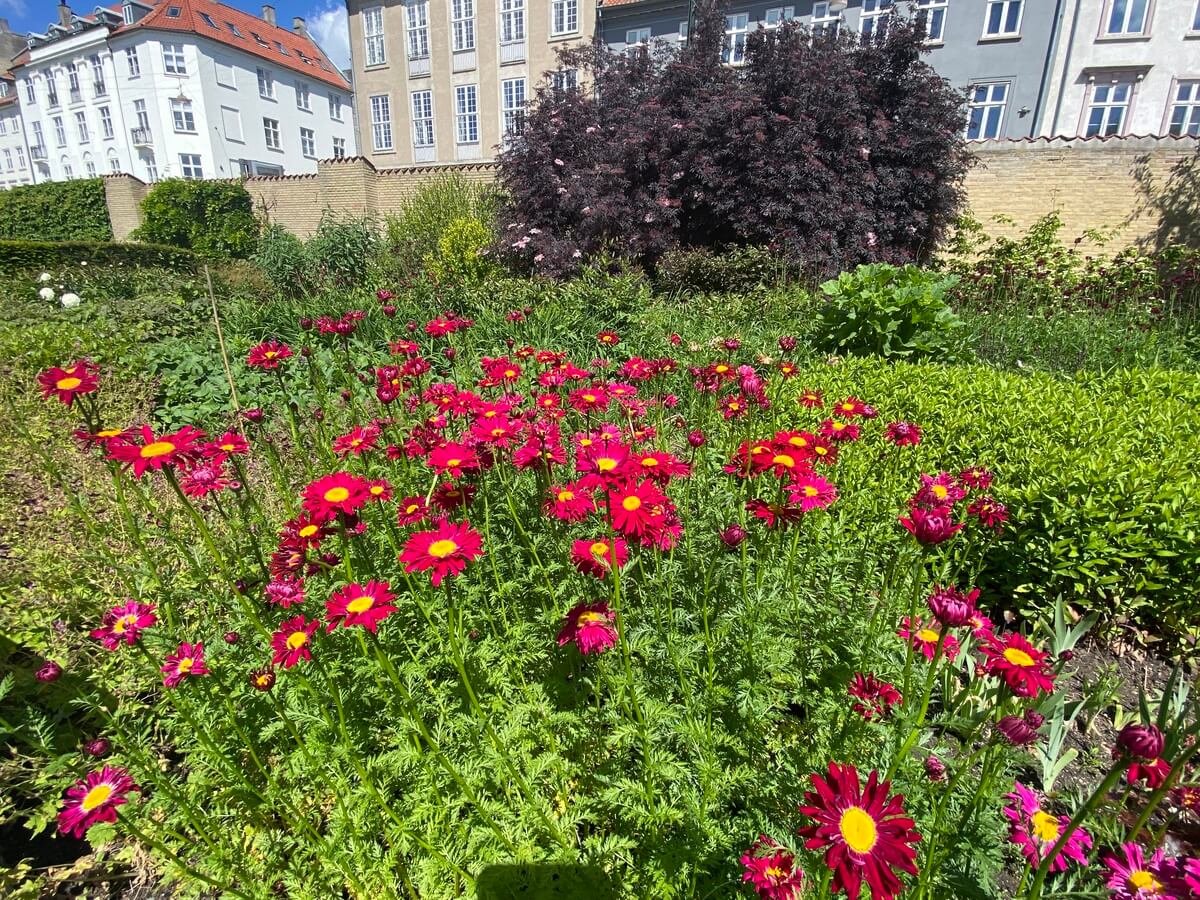 Rozenborg palata Kopenhagen Travel Blog