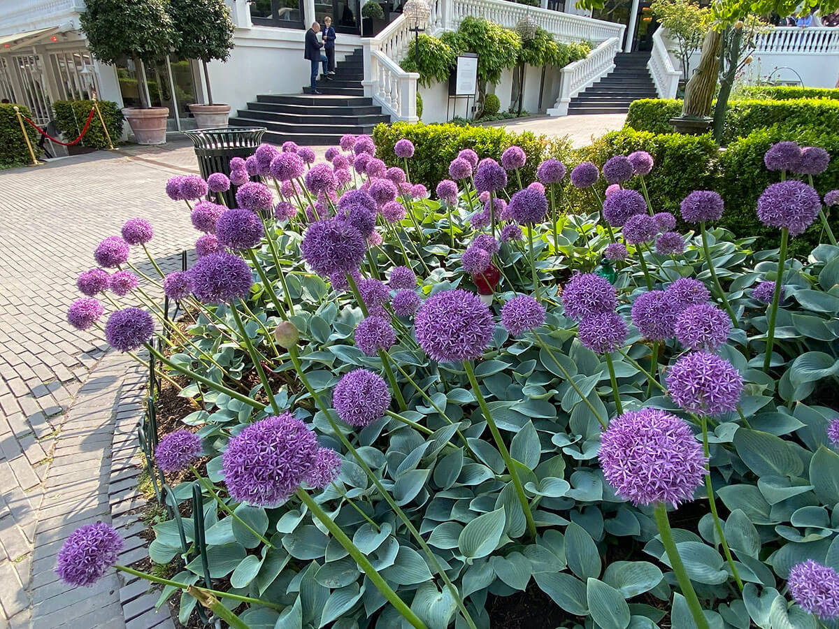 Kopenhagen Tivoli Travel Blog