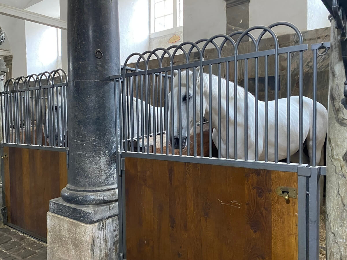 Christiansborg Palace Copenhagen Travel Blog