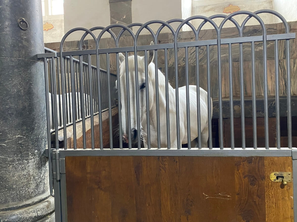 Christiansborg Palace Copenhagen Travel Blog