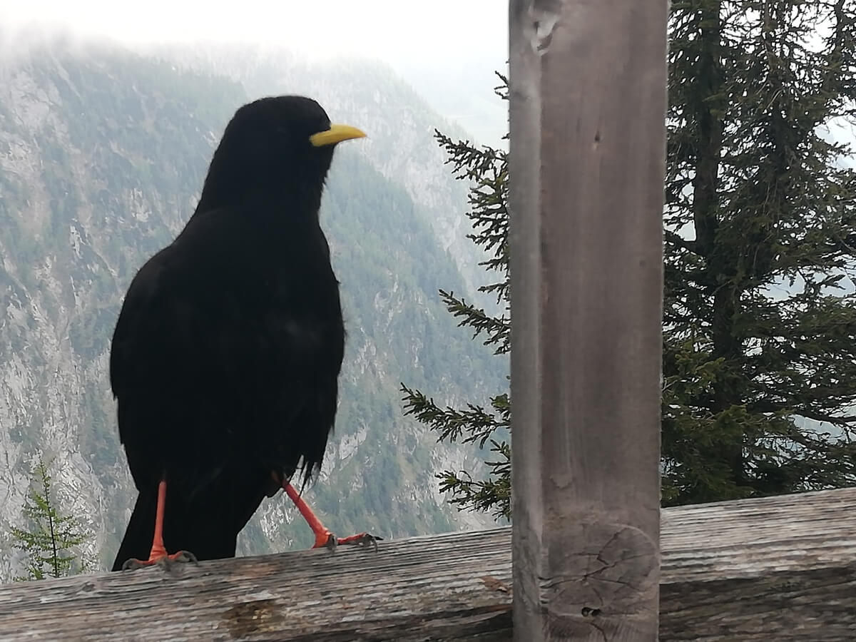 Eagle's Nest Germany Travel Blog