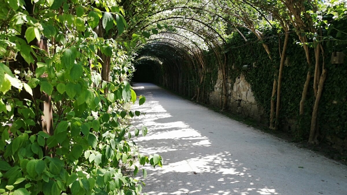 Salcburg Austrija Travel Blog