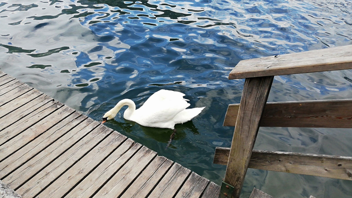 Hallstatt Austria Travel Blog