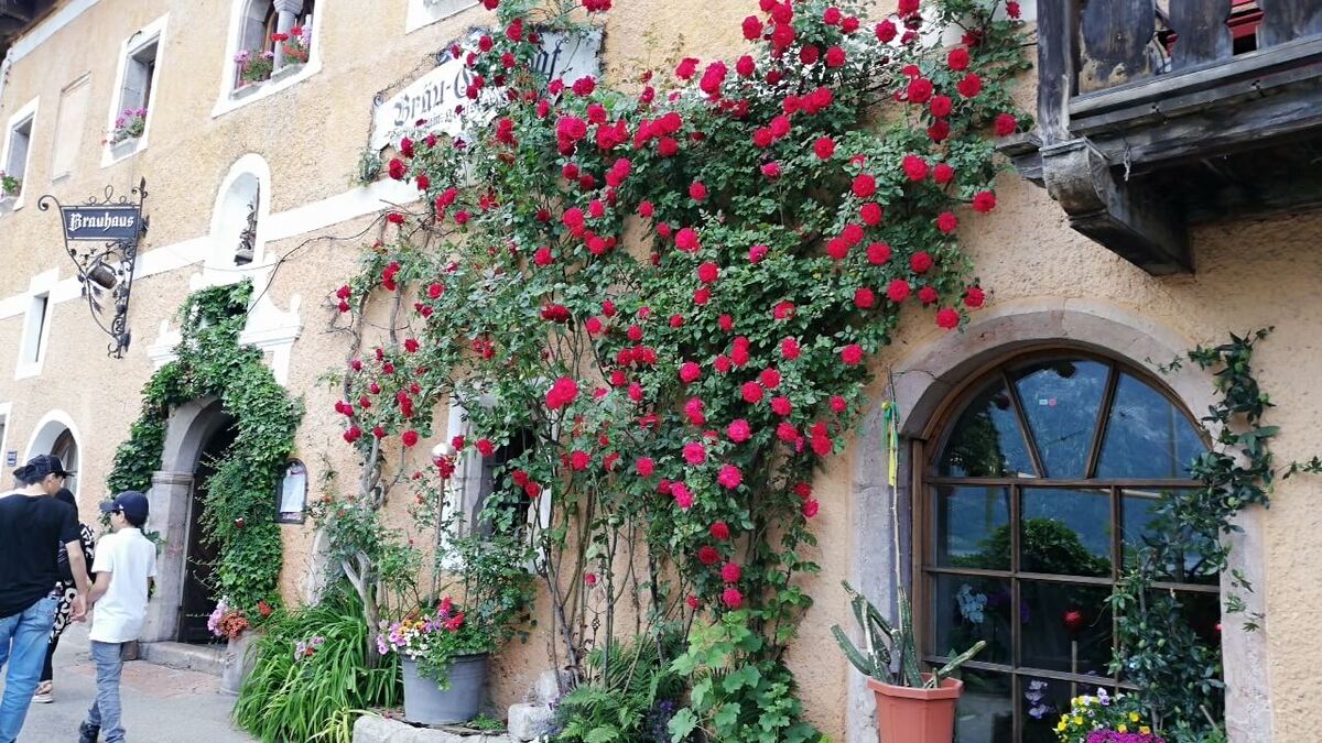 Halštat Austrija Travel Blog