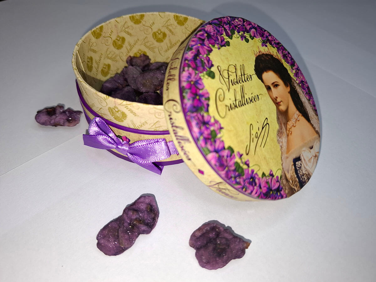 Hofburg Vienna Travel Blog Austria