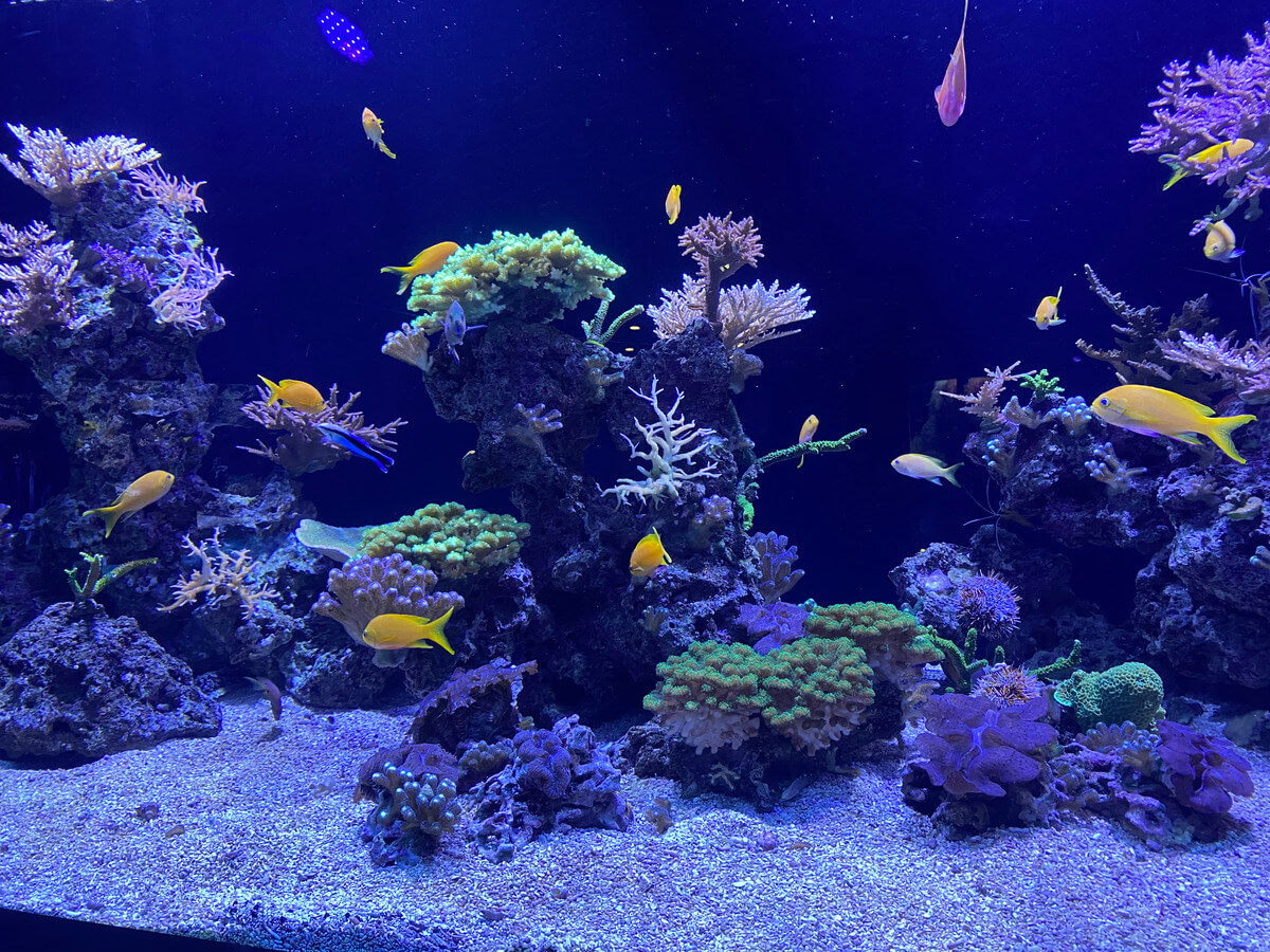 Oceanographic Museum Monaco Travel Blog