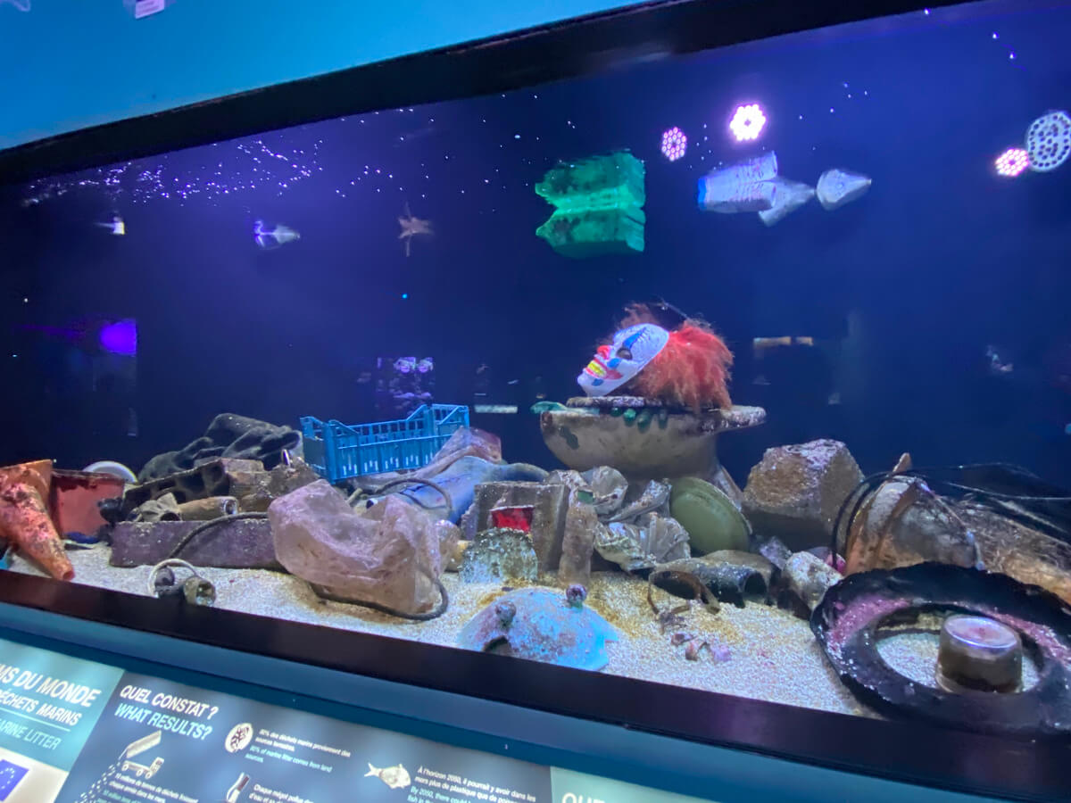 Oceanographic Museum Monaco Travel Blog