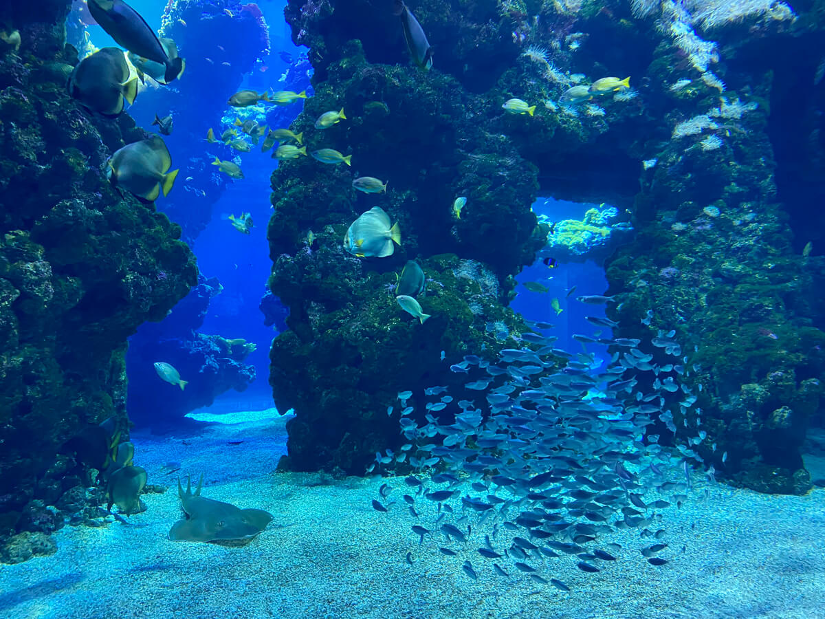 Oceanographic Museum Monaco Travel Blog