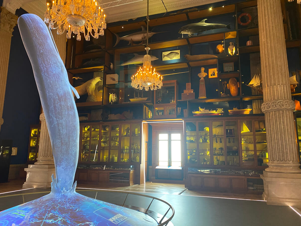 Oceanographic Museum Monaco Travel Blog