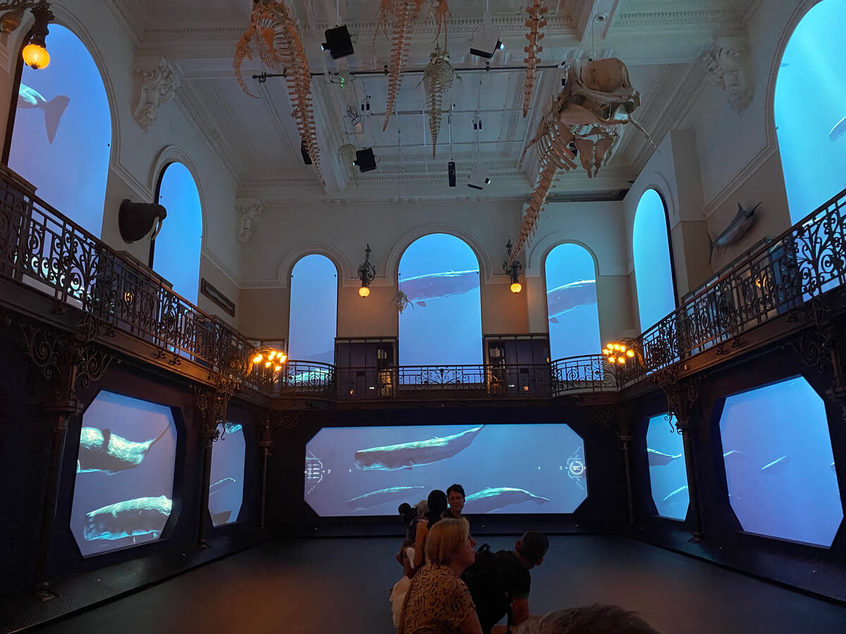 Oceanographic Museum Monaco Travel Blog