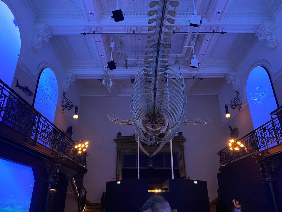 Oceanographic Museum Monaco Travel Blog