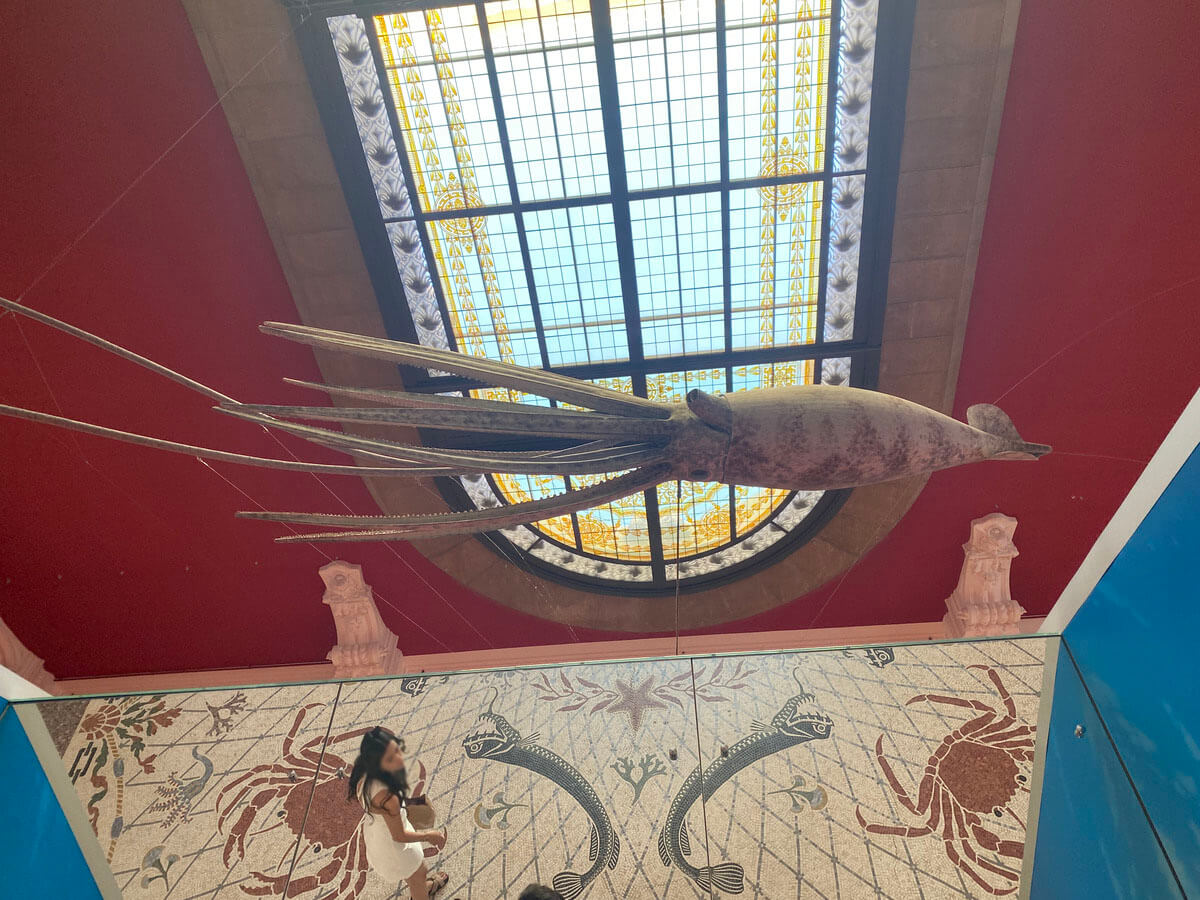 Oceanographic Museum Monaco Travel Blog